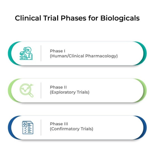 Clinical Trial Phases of Biologicals