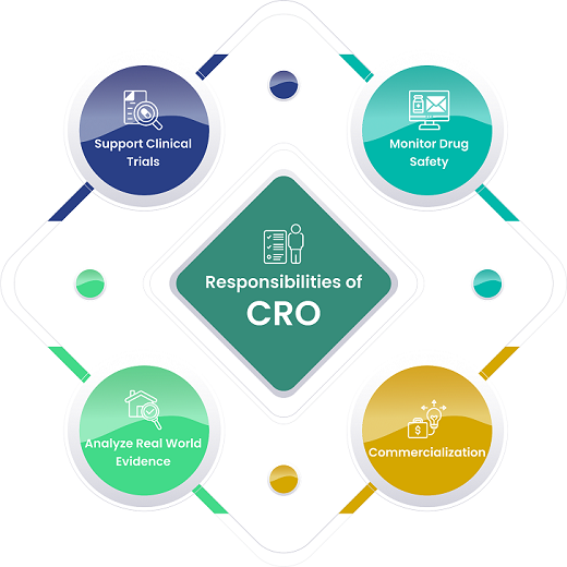 Responsibilities of CRO